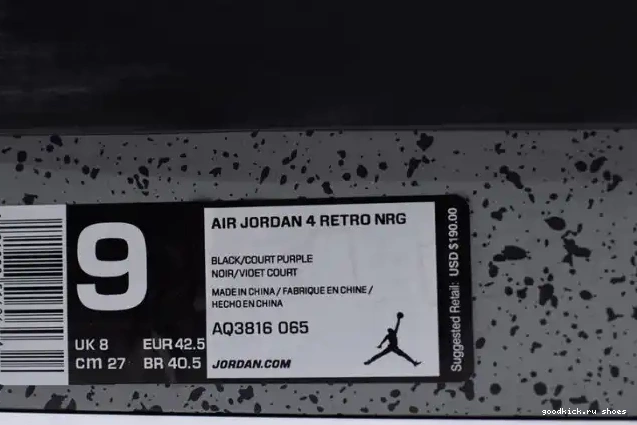 Rep Raptors